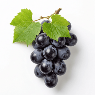 Semilla de Uva