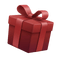 Regalo misterioso